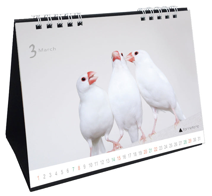 “Pre-order” 2026 Java Sparrow Desk Calendar