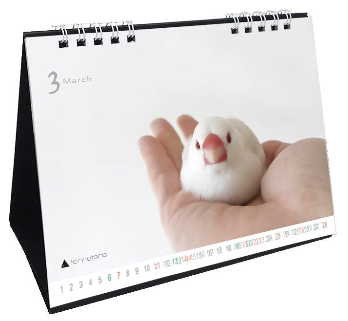 "Pre-order "  2027 Java Sparrow Desk Calendar