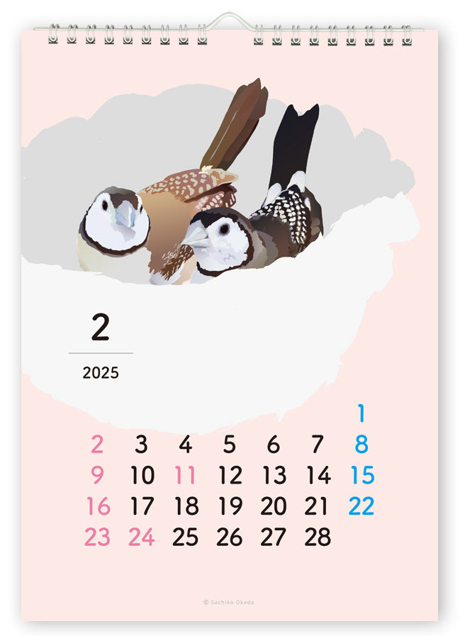 2025 Beautiful Birds Wall Calendar