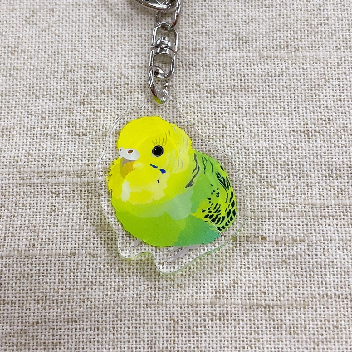 Budgie Baby Acrylic Key Holder