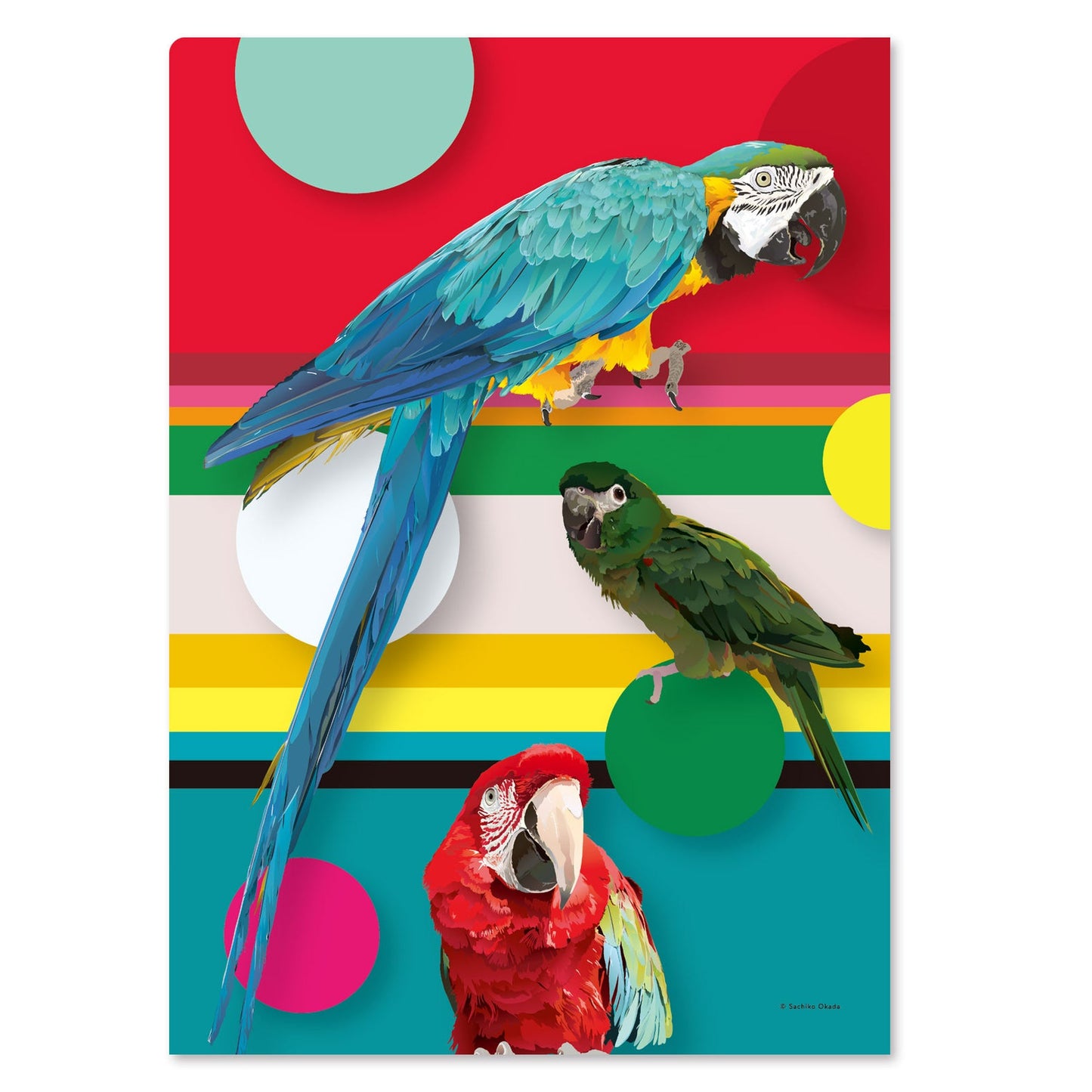 Macaw A4 File Folder Organizer