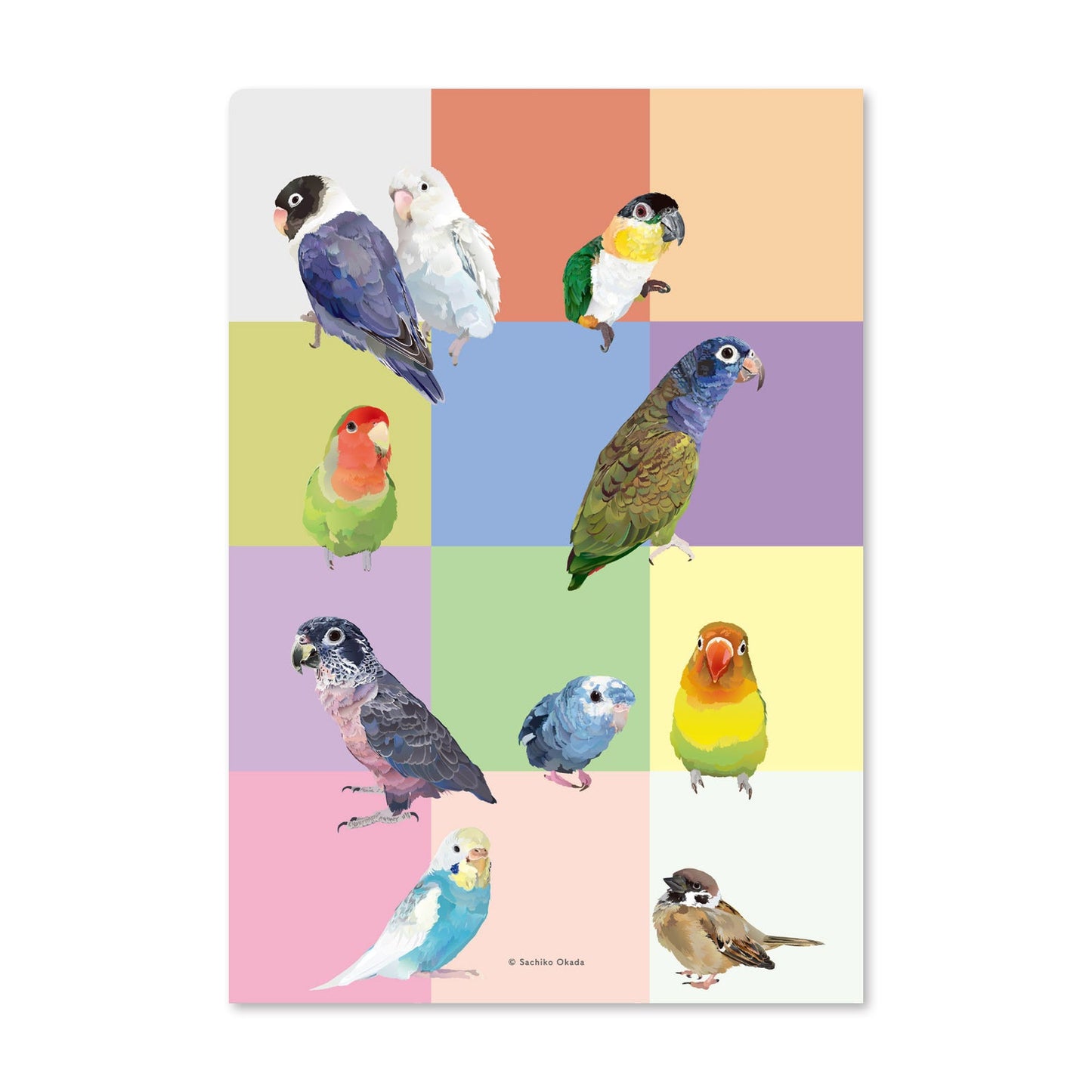 Bird Complex A5 File Folder Organizer