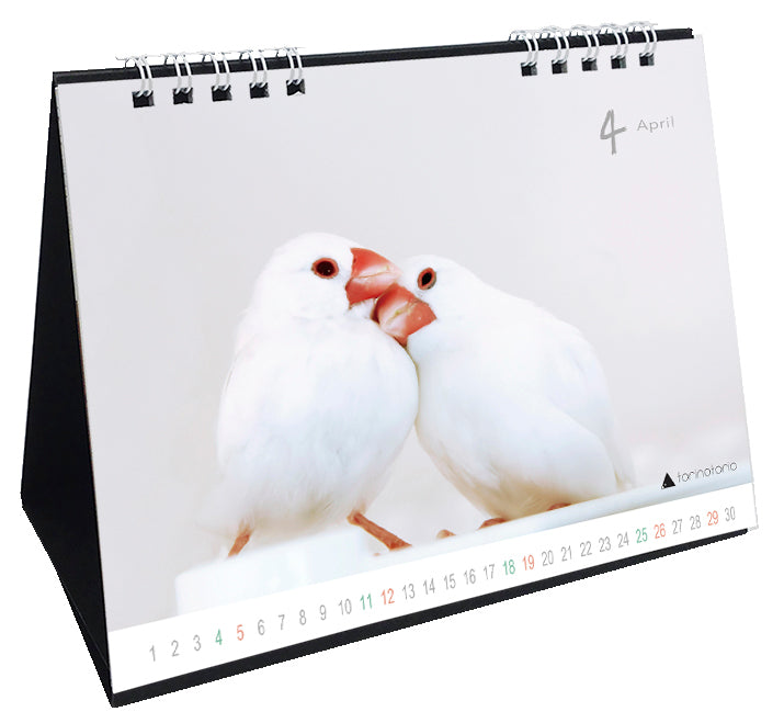 “Pre-order” 2026 Java Sparrow Desk Calendar