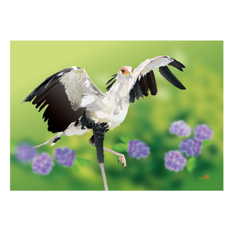 Secretary Bird Memo Pad