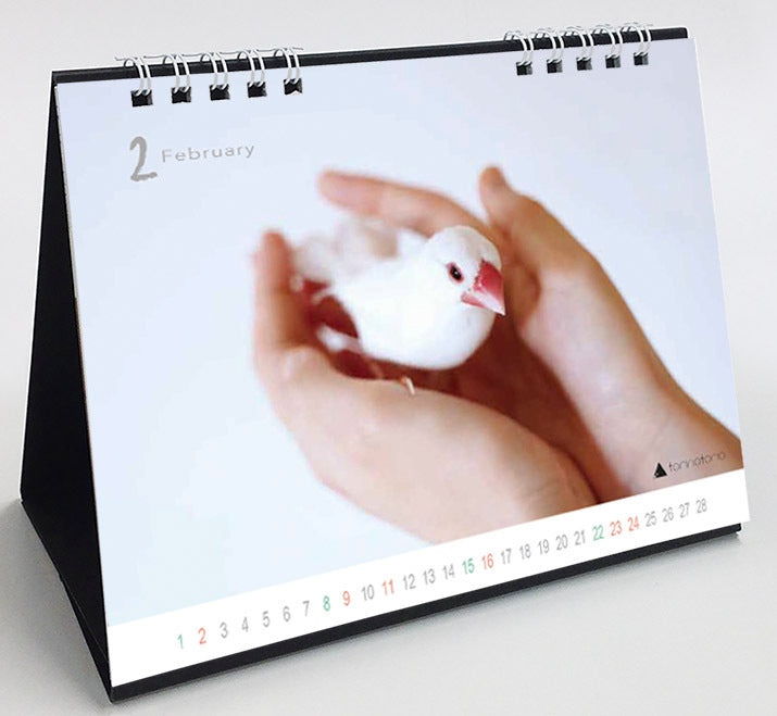 (PRE-ORDER) 2025 Java Sparrow Desk Calendar