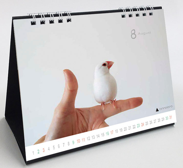 (PRE-ORDER) 2025 Java Sparrow Desk Calendar