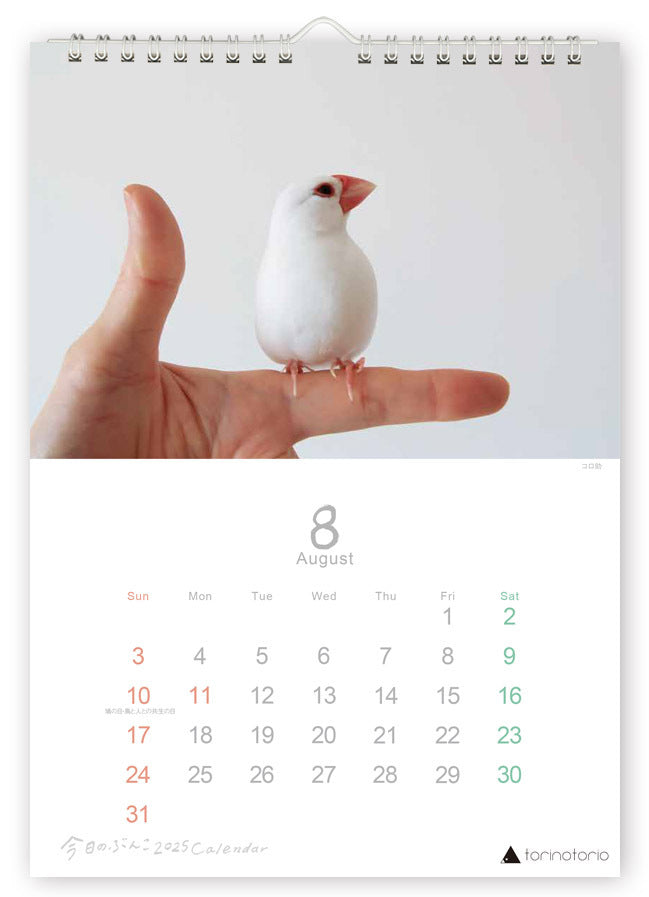 (PRE-ORDER) 2025 Java Sparrow Wall Calendar