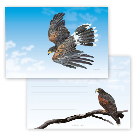 Harris Hawk Memo Pad