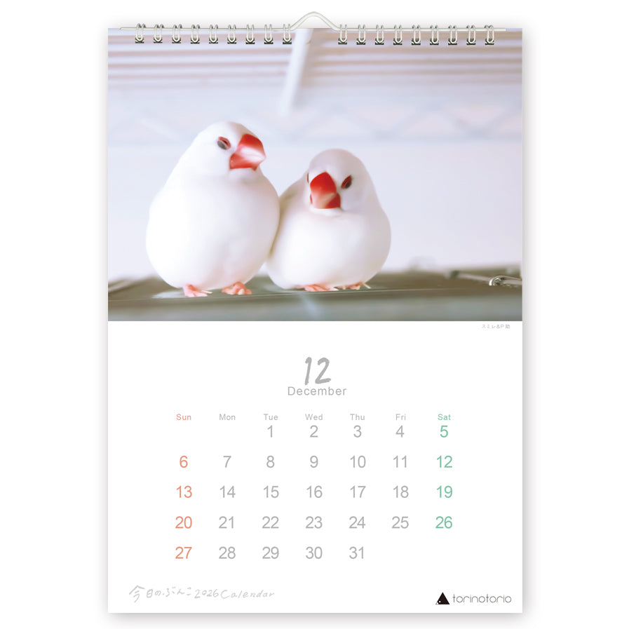 "Pre-order " 2026 Java Sparrow Wall Calendar