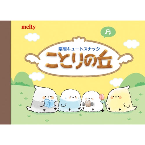 Snack Package - Inspired Bird Mini Memo Pad