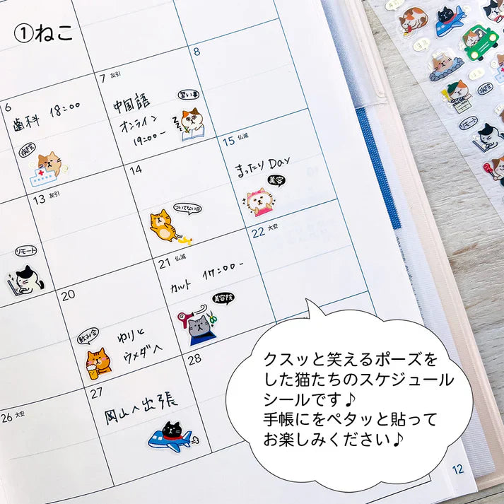 Cat Schedule Stickers with Gold Accent