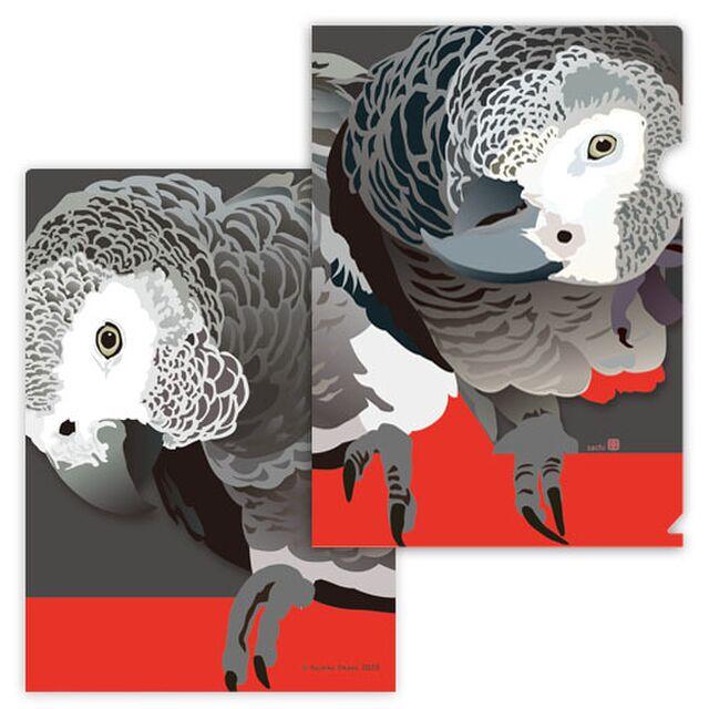 A4 File Folder Organizer African Gray Parrot - Boutique SWEET BIRDIE
