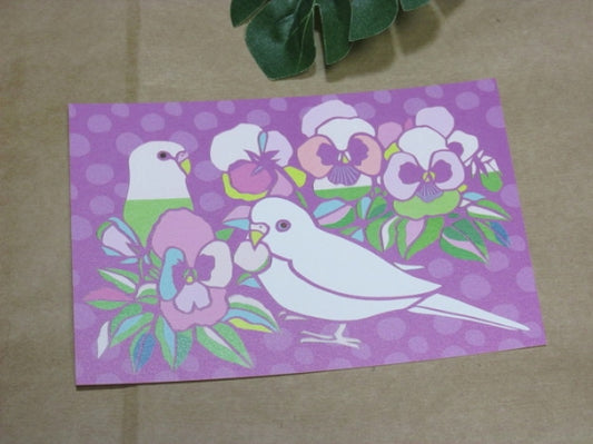 Budgie Budgerigar Parakeet Postcard Yukie-41 - Boutique SWEET BIRDIE