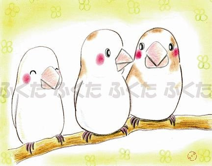 Society Finch Postcard Fukuta-75 - Boutique SWEET BIRDIE