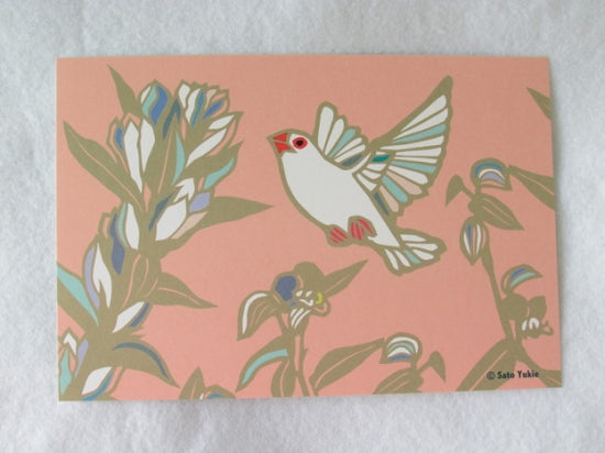 Java Sparrow Postcard Yukie-49 - Boutique Sweet Birdie