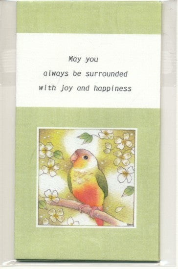 Sets of 3 Green-Cheeked Parakeet Conure Mini Envelopes Emi-890 - Boutique Sweet Birdie
