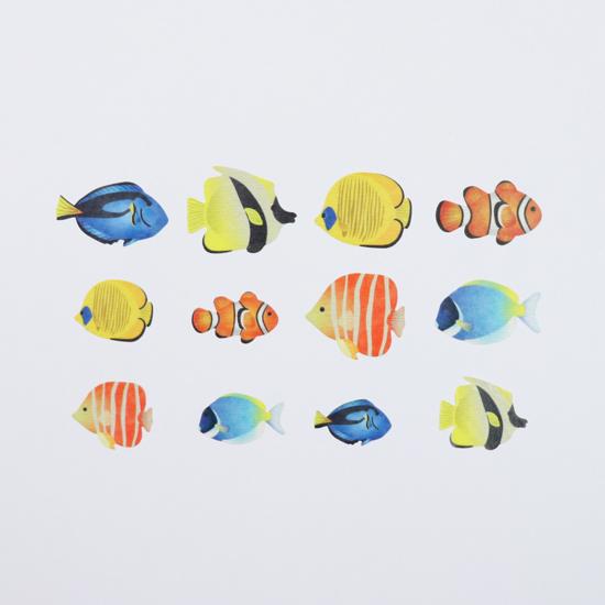 Tropical Fish Stickers Japanese Washi Roll Stickers - Boutique SWEET BIRDIE