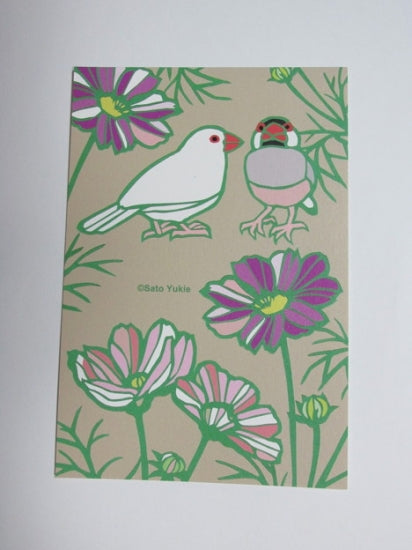 Java Sparrow Postcard Yukie-53 - Boutique Sweet Birdie