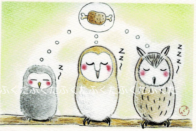 Owl Postcard