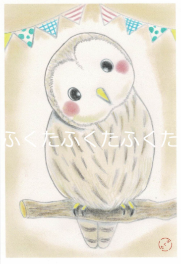 Owl Postcard