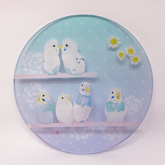 Budgie Acrylic Coaster