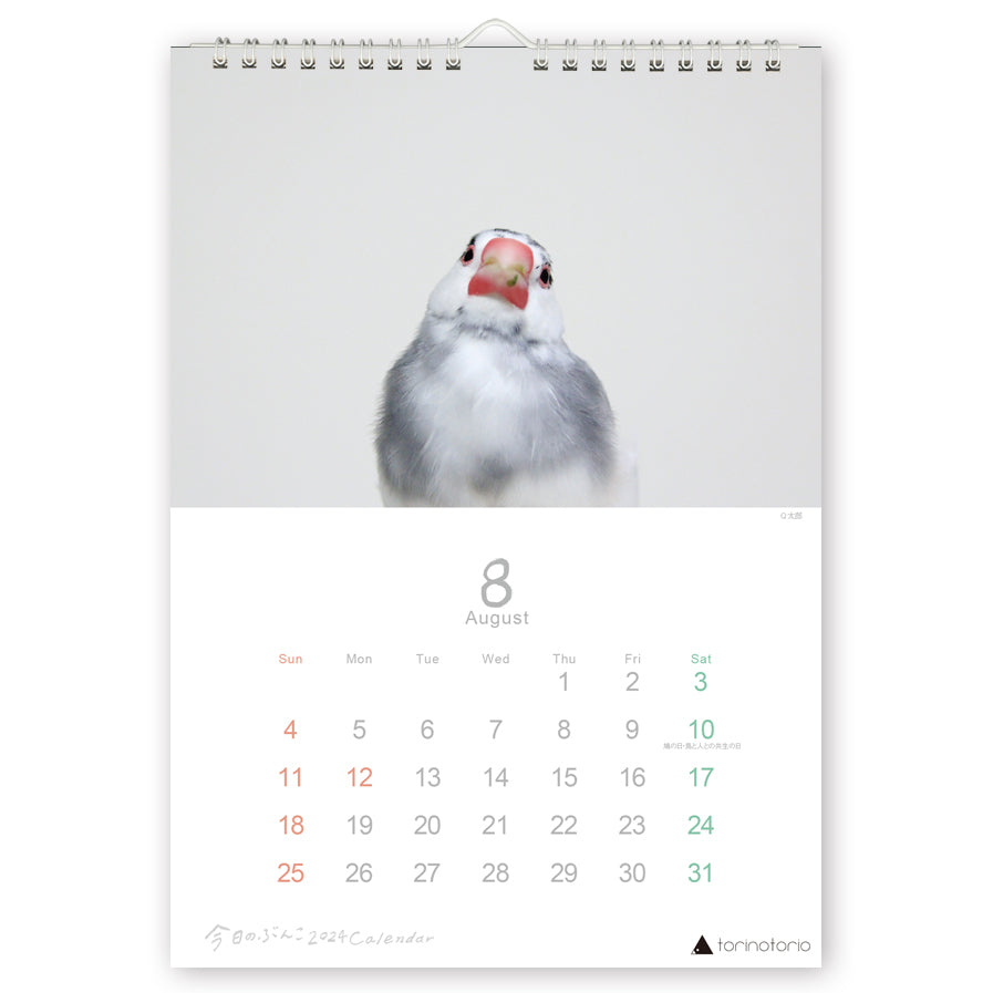 2024 Java Sparrow Wall Calendar