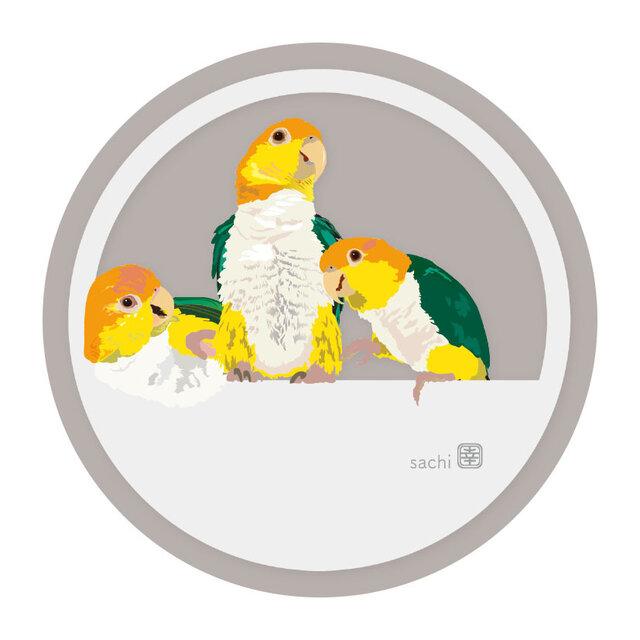 White-Bellied Caique Acrylic Coaster