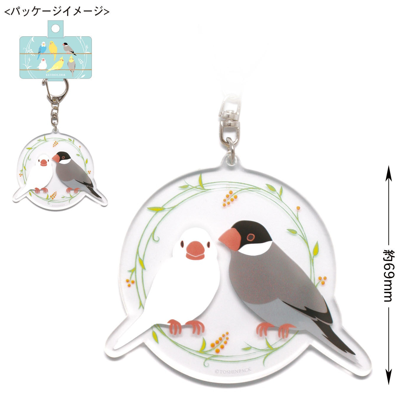 Java Sparrow Acrylic Key Holder - Boutique Sweet Birdie