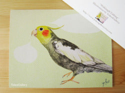 セリフが書けるグリーティングカード（ライムグリーン)　オカメインコ - 小鳥雑貨専門のお店　スウィート・バーディー・ブティック