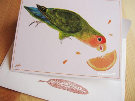 グリーティングカード　ラブバード　封筒付き二つ折りカード　コザクラインコ - 小鳥雑貨専門のお店　スウィート・バーディー・ブティック