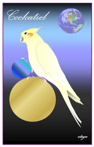 Cockatiel Postcard otoga3 - Boutique Sweet Birdie
