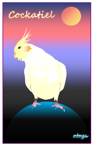 Cockatiel Postcard otoga9 - Boutique Sweet Birdie
