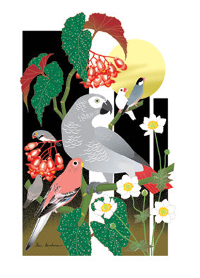 African Gray Parrot Bourke's Parakeet Java Sparrow  Zebra Finch Postcard atorieP110910 - Boutique SWEET BIRDIE