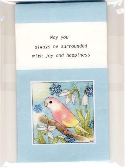 Sets of 3 Bourke's Parakeet Mini Envelopes - Boutique SWEET BIRDIE