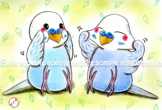 Budgie Budgerigar Parakeet Postcard - Boutique SWEET BIRDIE