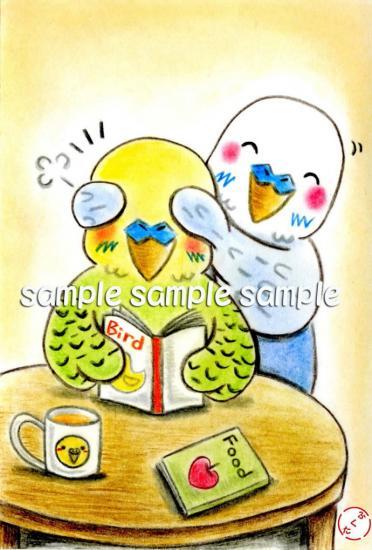 Budgie Budgerigar Parakeet Postcard - Boutique SWEET BIRDIE