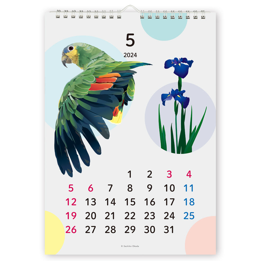 2024 Beautiful Birds Wall Calendar