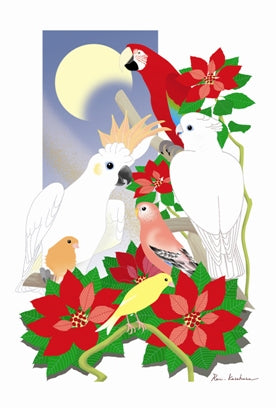 Macaw Bourke's Parrot Canary Cockatoo Solomons Cockatoo Postcard atorieP13112 - Boutique Sweet Birdie