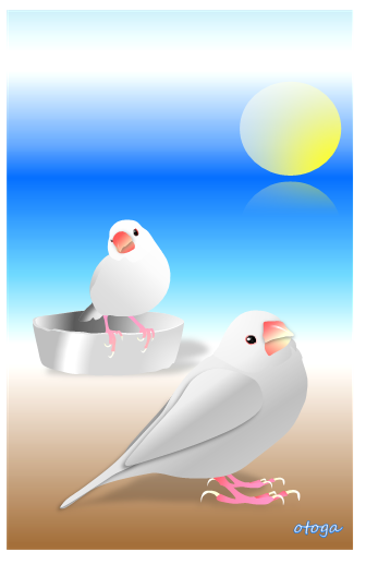 Java Sparrow Postcard otoga21 - Boutique Sweet Birdie