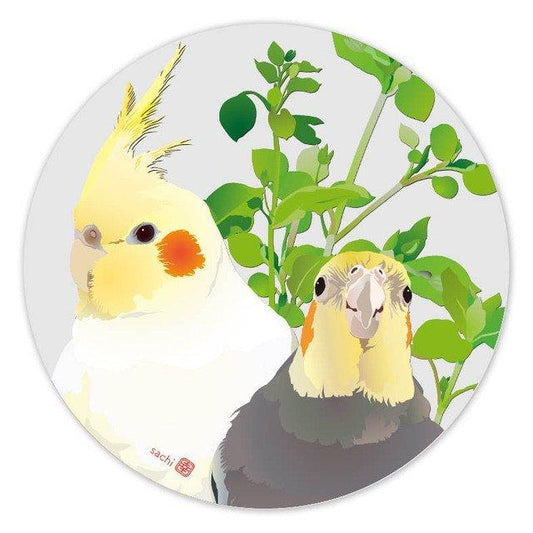 Cockatiel Acrylic Coaster