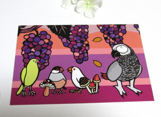 African Gray Parrot Java Sparrow Canary Postcard Yukie-38 - Boutique SWEET BIRDIE