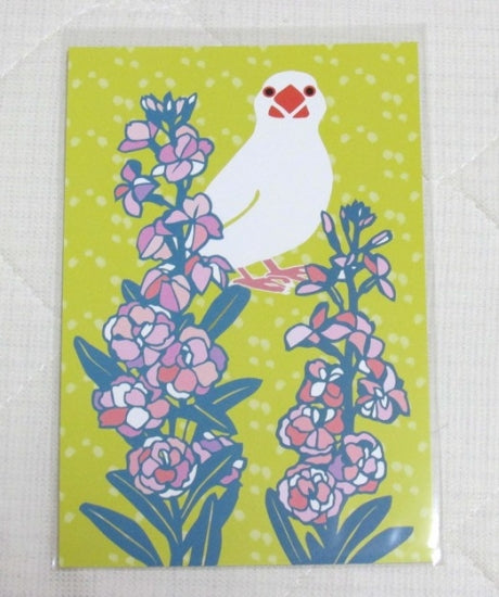 Java Sparrow Postcard Yukie-39 - Boutique SWEET BIRDIE