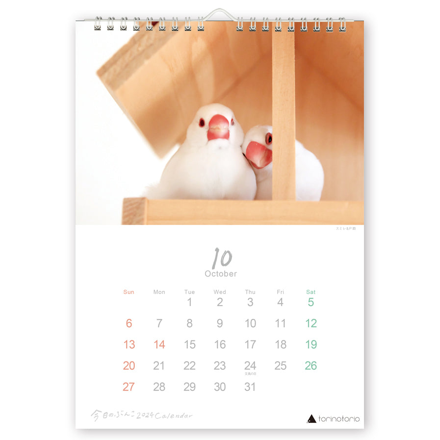 2024 Java Sparrow Wall Calendar