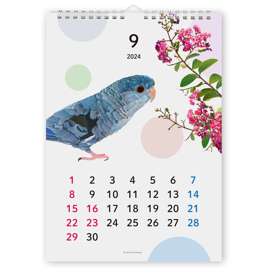 2024 Beautiful Birds Wall Calendar