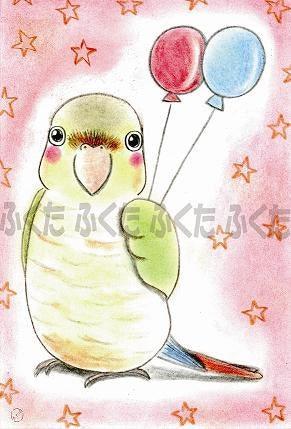 Green-cheeked Parakeet Postcard Fukuta-59 - Boutique SWEET BIRDIE
