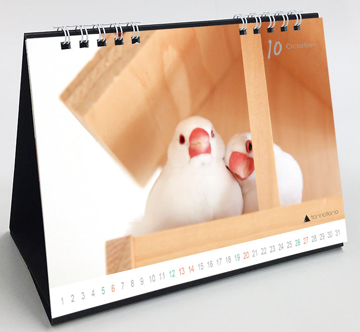 2024 Java Sparrow Desk Calendar