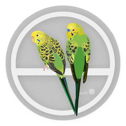 Budgie Acrylic Coaster