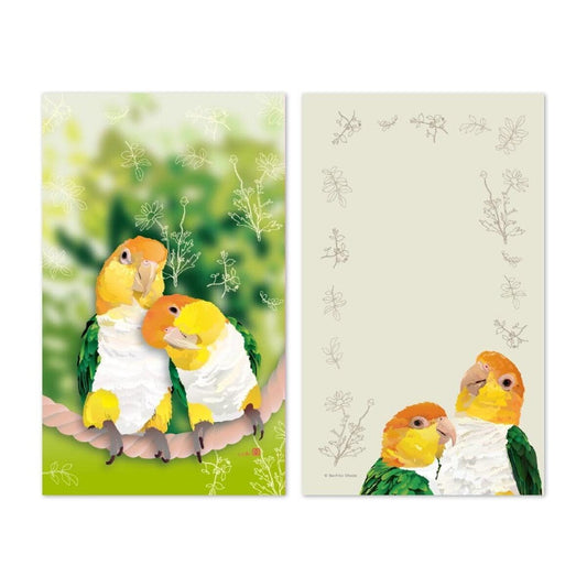 Sets of 10 White-bellied Caique Mini Message Card