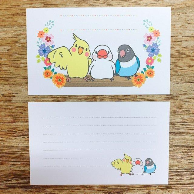 Sets of 10 Mini Message Cards Cockatiel Java Sparrow Lovebird