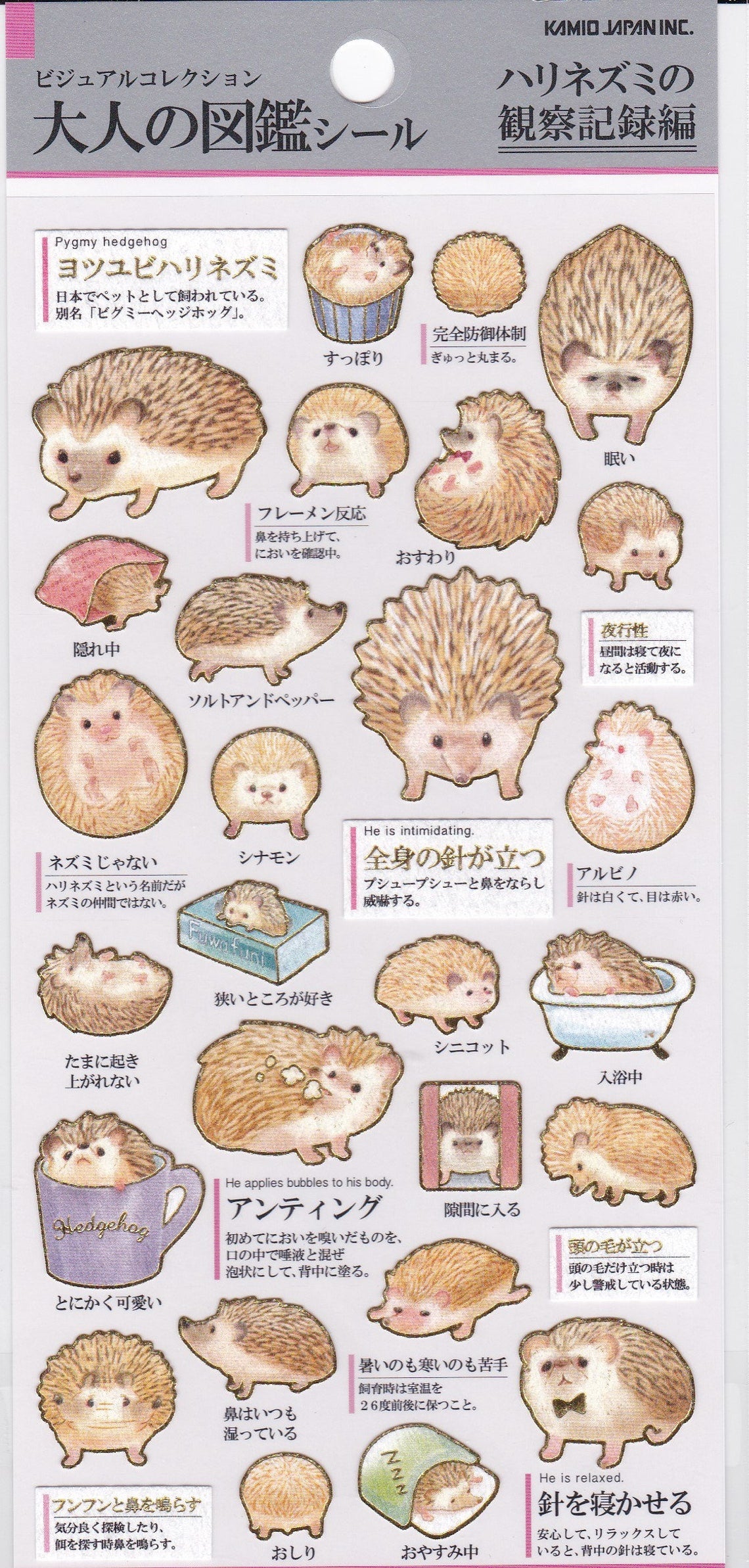 Hedgehog Stickers with Gold Frame